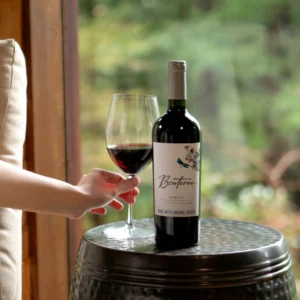 anggur-merlot-dari-bordeaux-ke-seluruh-penjuru-bumi