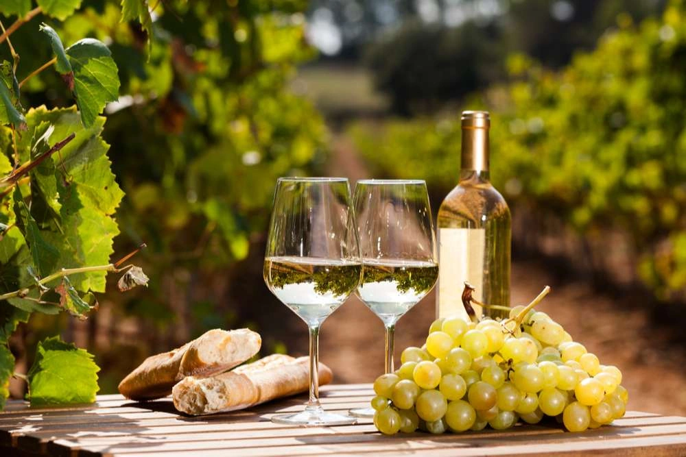keunikan-two-islands-sauvignon-blanc