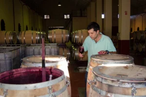 mengenal-tren-natural-wine-yang-sedang-naik-daun