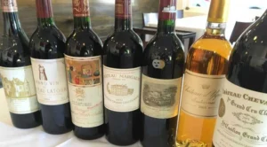 arti-istilah-docg-dan-grand-cru-pada-label-wine
